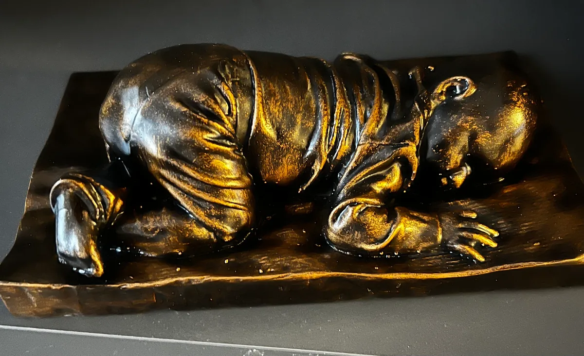 Arte-Lumina babybeeldje, pasgeboren baby vastgelegd in 3D, wax afgerwerkt